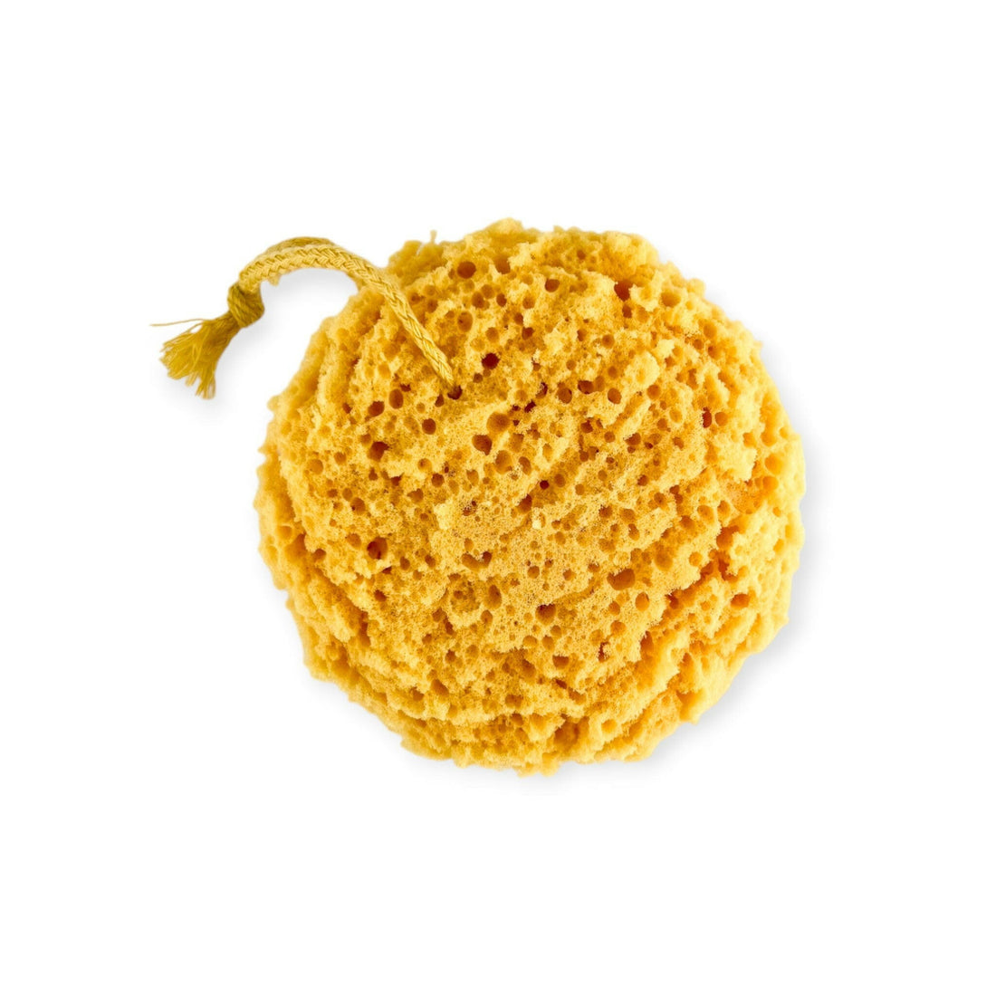 Big Round Sponge - Old Town Soap Co.