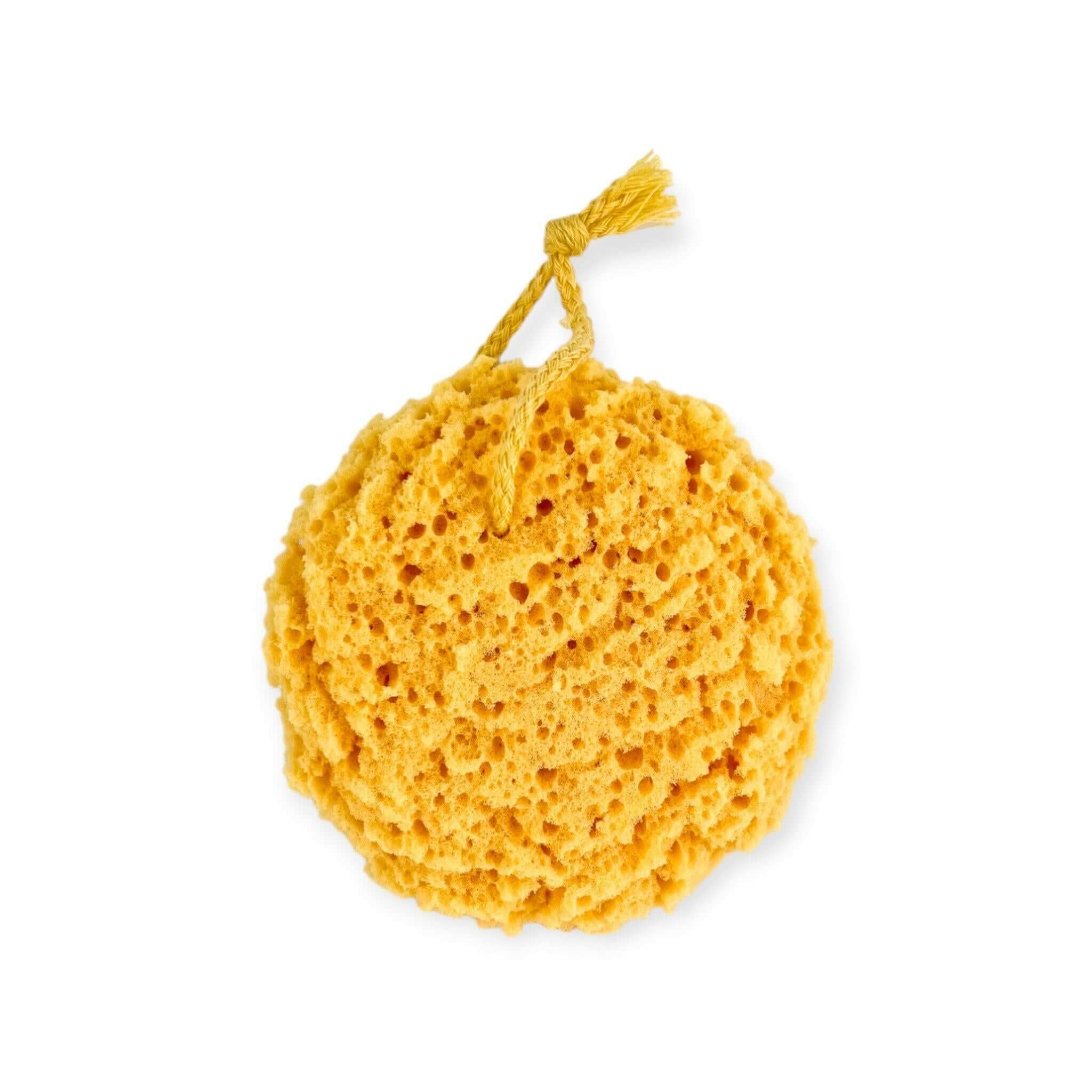 Big Round Sponge - Old Town Soap Co.