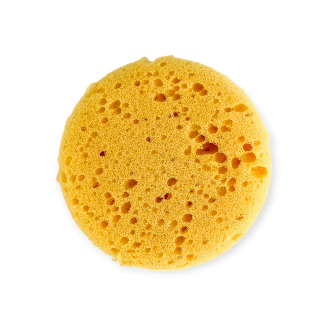 Small Round Sponge - Old Town Soap Co.
