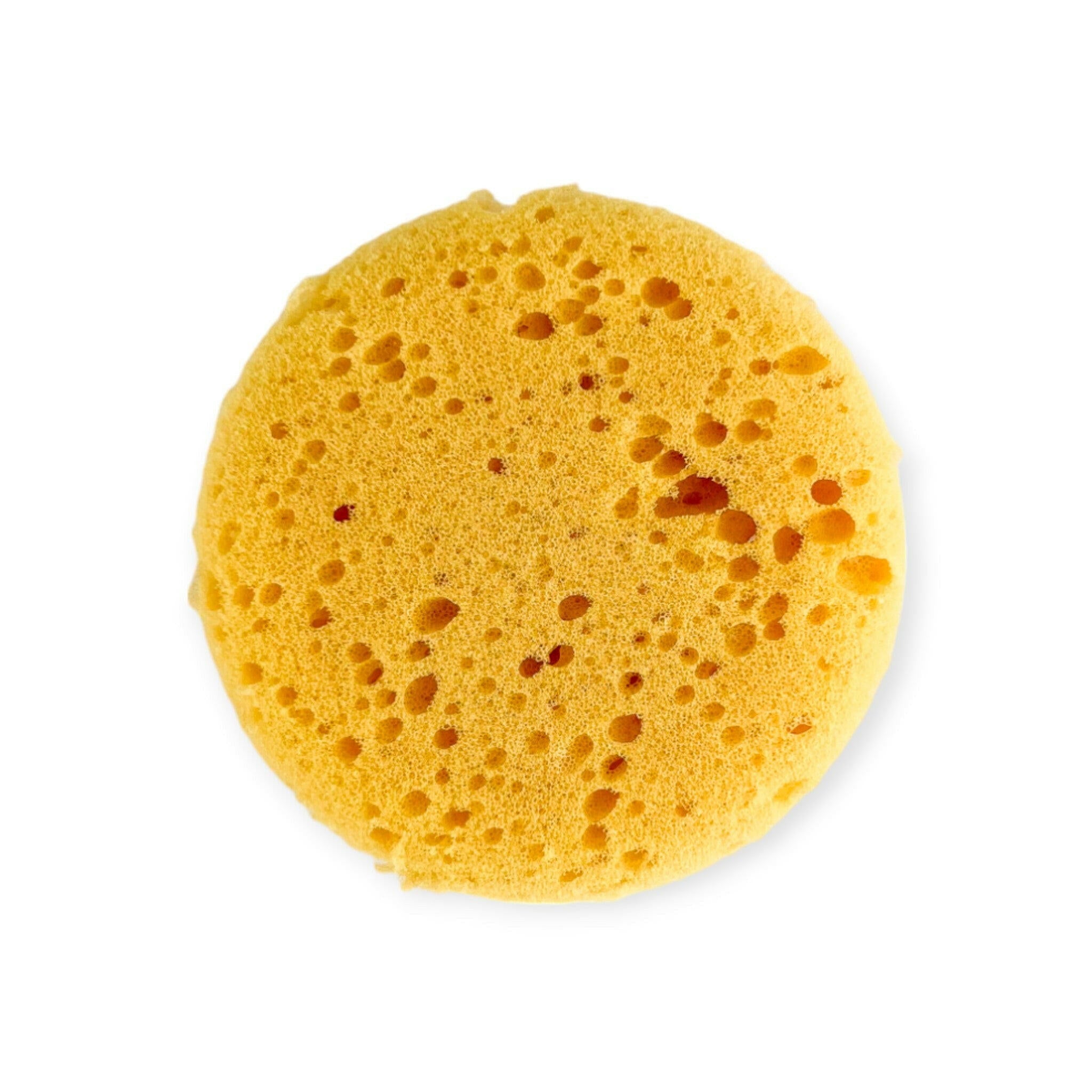 Small Round Sponge - Old Town Soap Co.