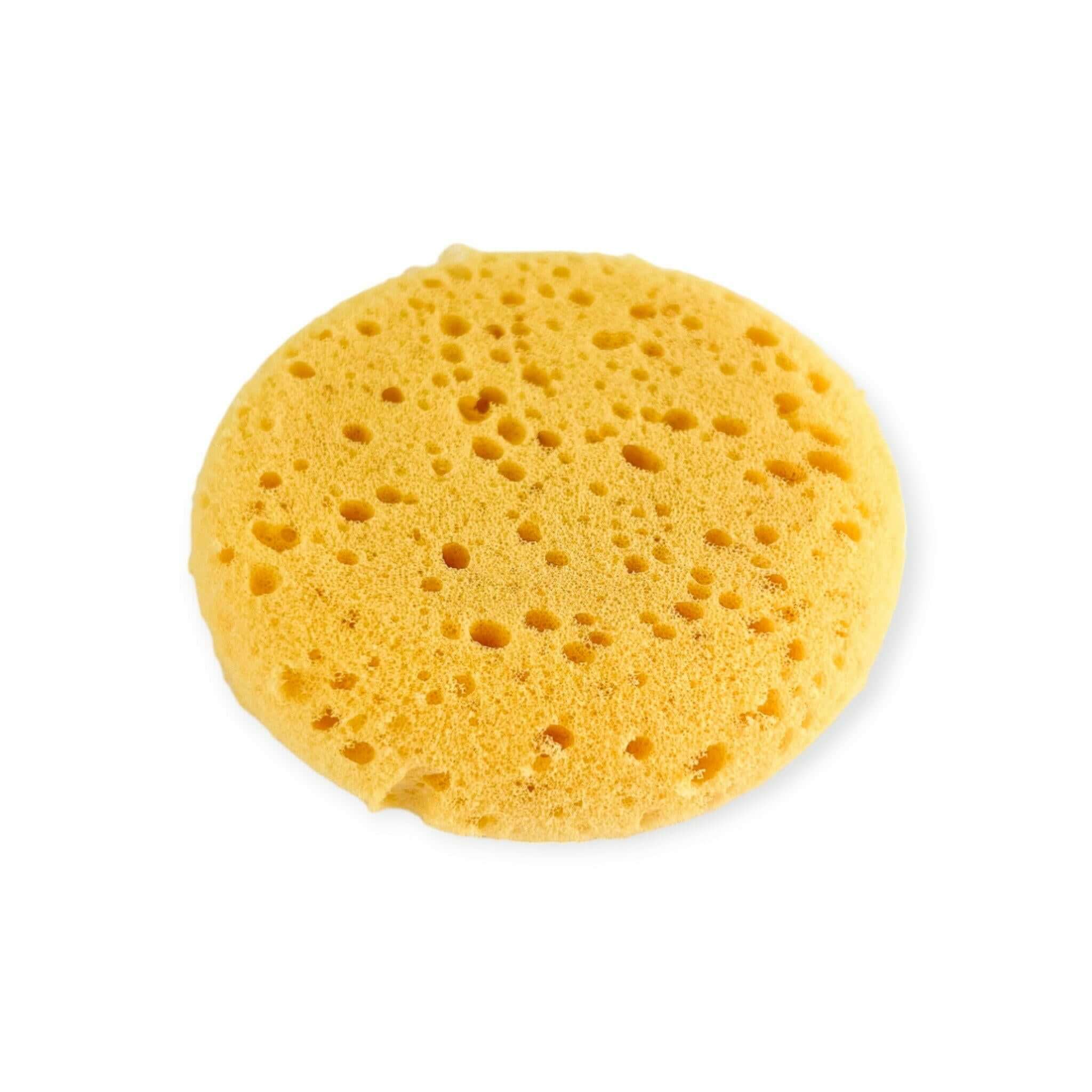 Small Round Sponge - Old Town Soap Co.