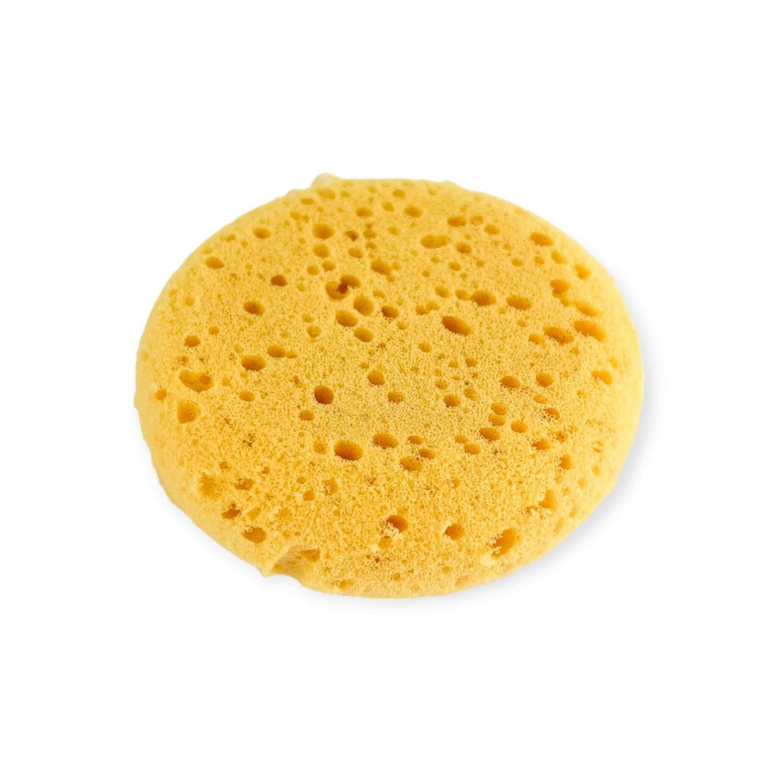 Small Round Sponge - Old Town Soap Co.