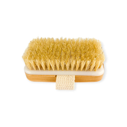 Natural Body Brush - Old Town Soap Co.