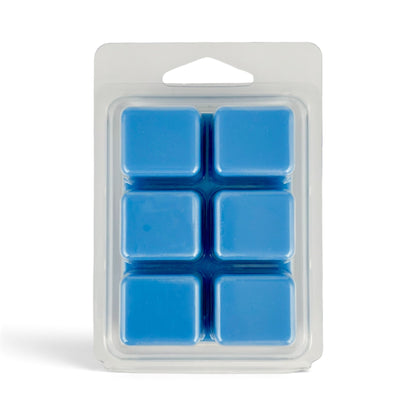 The Perfect Man Wax Melts