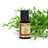 OTSC Patchouli Essential Oil - Old Town Soap Co.