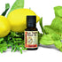 Renew Essential Oil Blend - Old Town Soap Co.